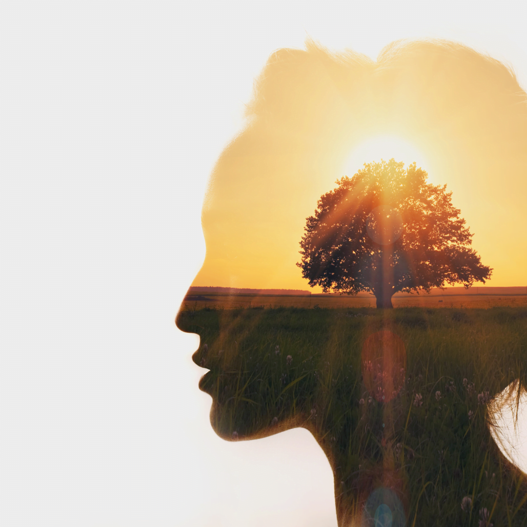 人生不是做錯一個決定就毀了：如何累積你的人生？